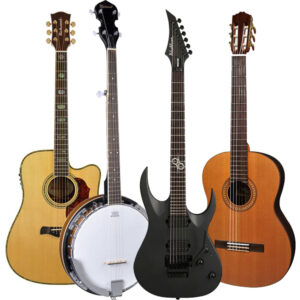 STRINGED INSTRUMENTS