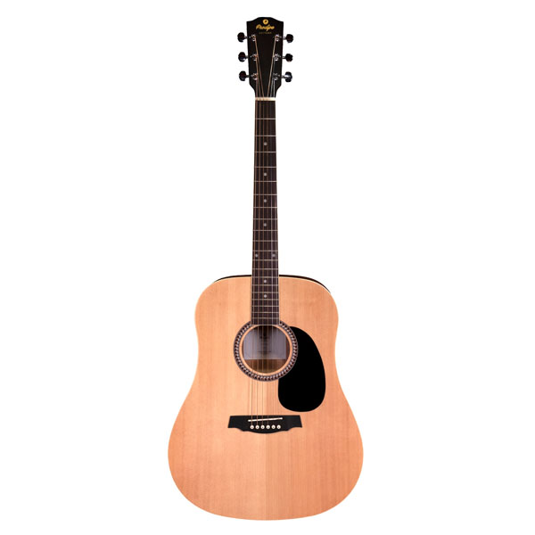 Guitare acoustique SD25 Dreadnought